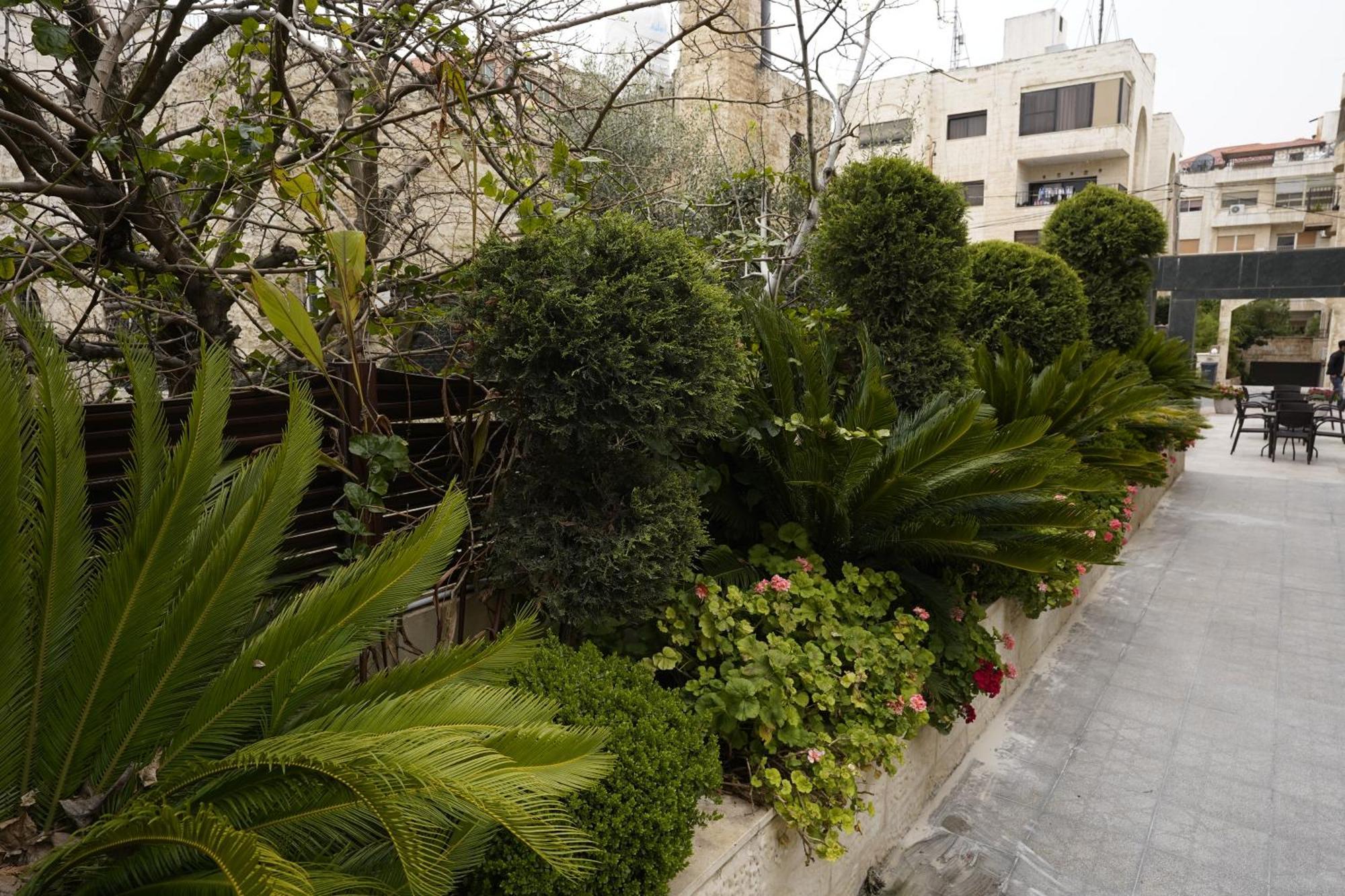Naylover Hotel Suites 암만 외부 사진